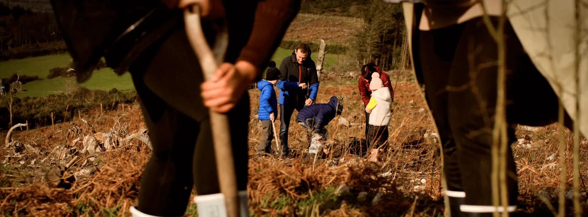 A Tree for Every Family